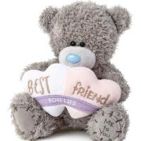 5" Best Friends For Life Me to You Bear Extra Image 2 Preview